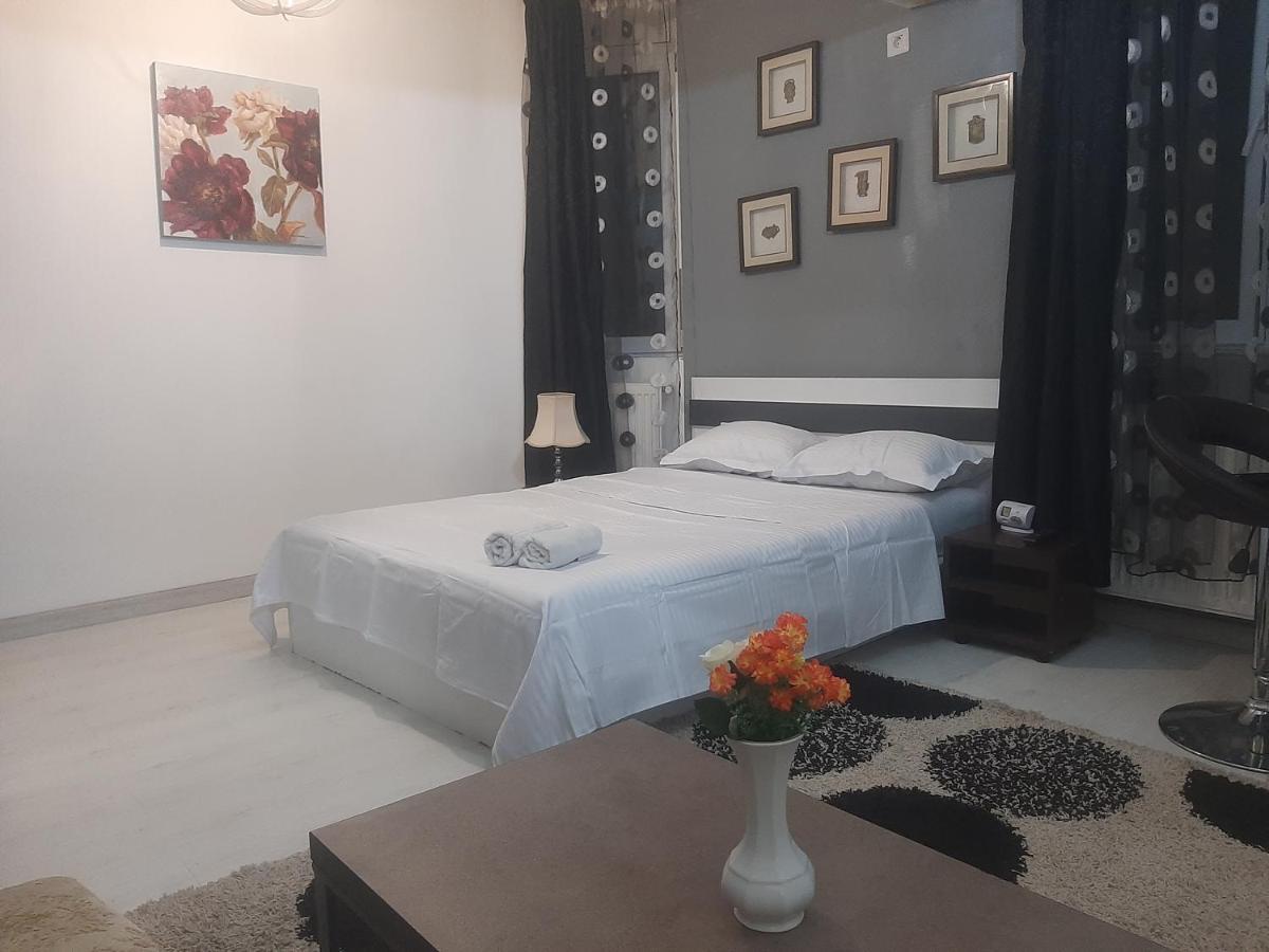 Апартаменты Studio Calea Victoriei Бухарест Экстерьер фото